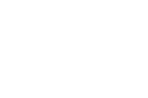 logo-intv-web.png